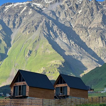 Traveler'S Cottages In Kazbegi Buitenkant foto